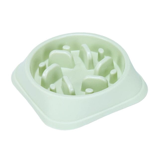 PawGuard Non-Slip Food Feeder – The Perfect Mess-Free Mealtime