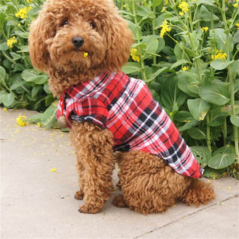 Pawsh Plaid Dog Shirt – Cozy, Stylish & Perfect for Any Occasion