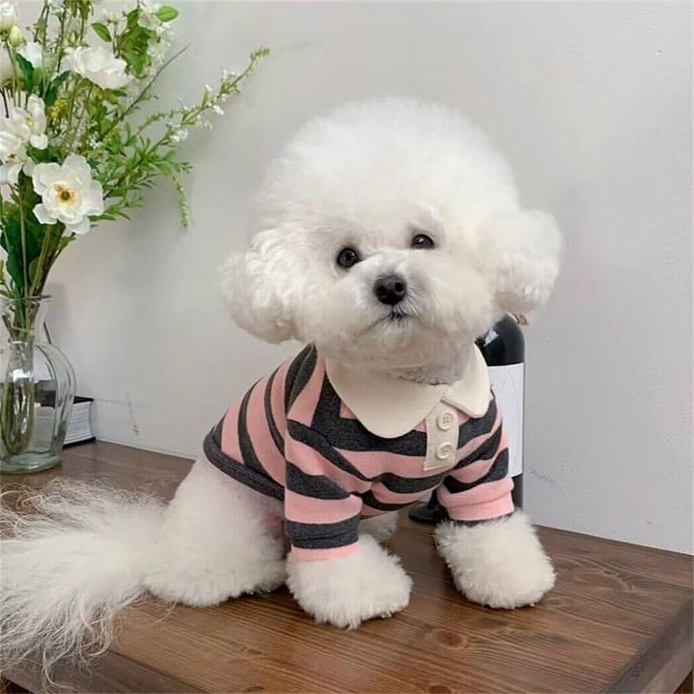 Preppy Pup Striped Polo – Classic & Comfy Dog Shirt