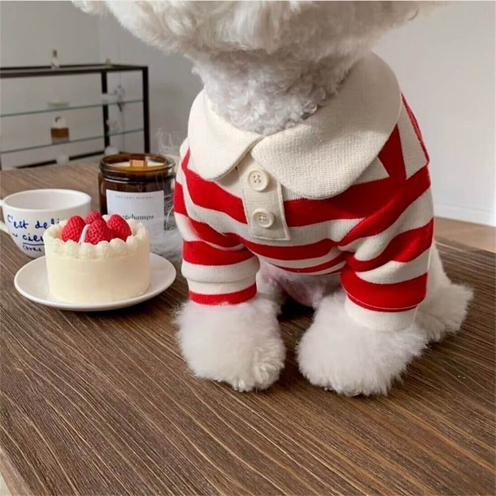 Preppy Pup Striped Polo – Classic & Comfy Dog Shirt