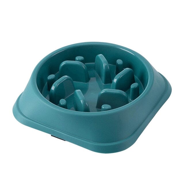 PawGuard Non-Slip Food Feeder – The Perfect Mess-Free Mealtime