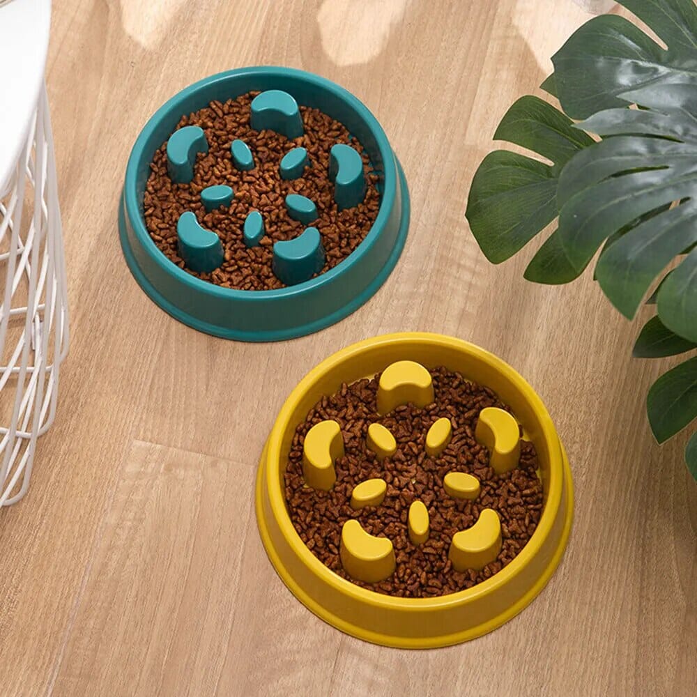 PawGuard Non-Slip Food Feeder – The Perfect Mess-Free Mealtime