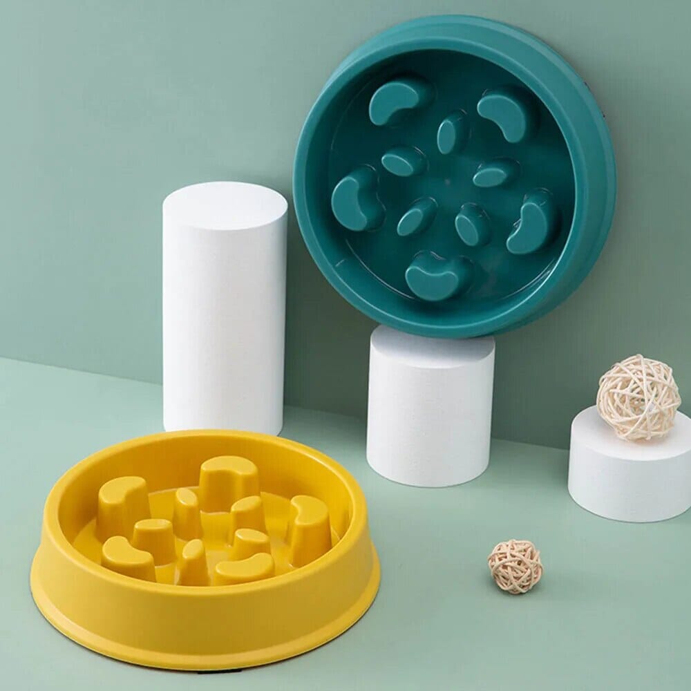 PawGuard Non-Slip Food Feeder – The Perfect Mess-Free Mealtime