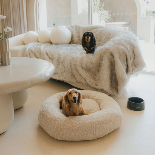 PawLuxe Deluxe Dog Throw – Ultra-Soft, Stylish & Protective Pet Blanket