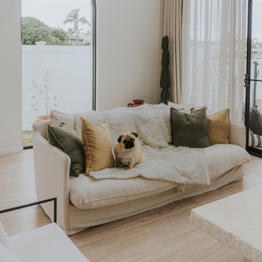 PawLuxe Deluxe Dog Throw – Ultra-Soft, Stylish & Protective Pet Blanket