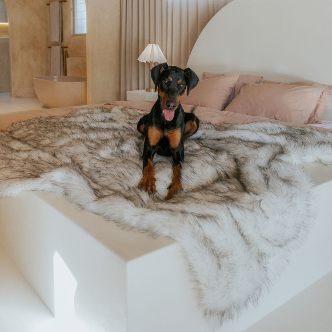 PawLuxe Deluxe Dog Throw – Ultra-Soft, Stylish & Protective Pet Blanket