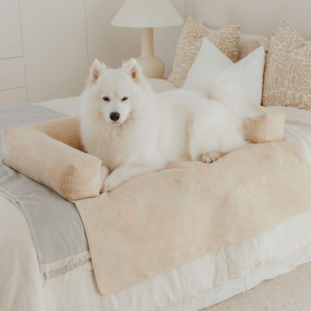 PawCloud Deluxe Dog Couch Bed – Ultra-Comfy & Stylish Sofa for Dogs