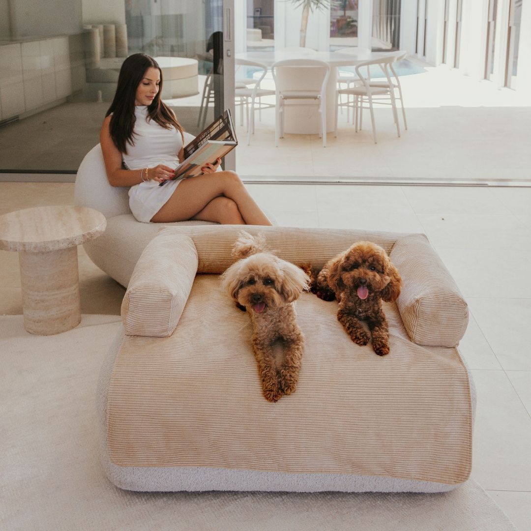 PawCloud Deluxe Dog Couch Bed – Ultra-Comfy & Stylish Sofa for Dogs