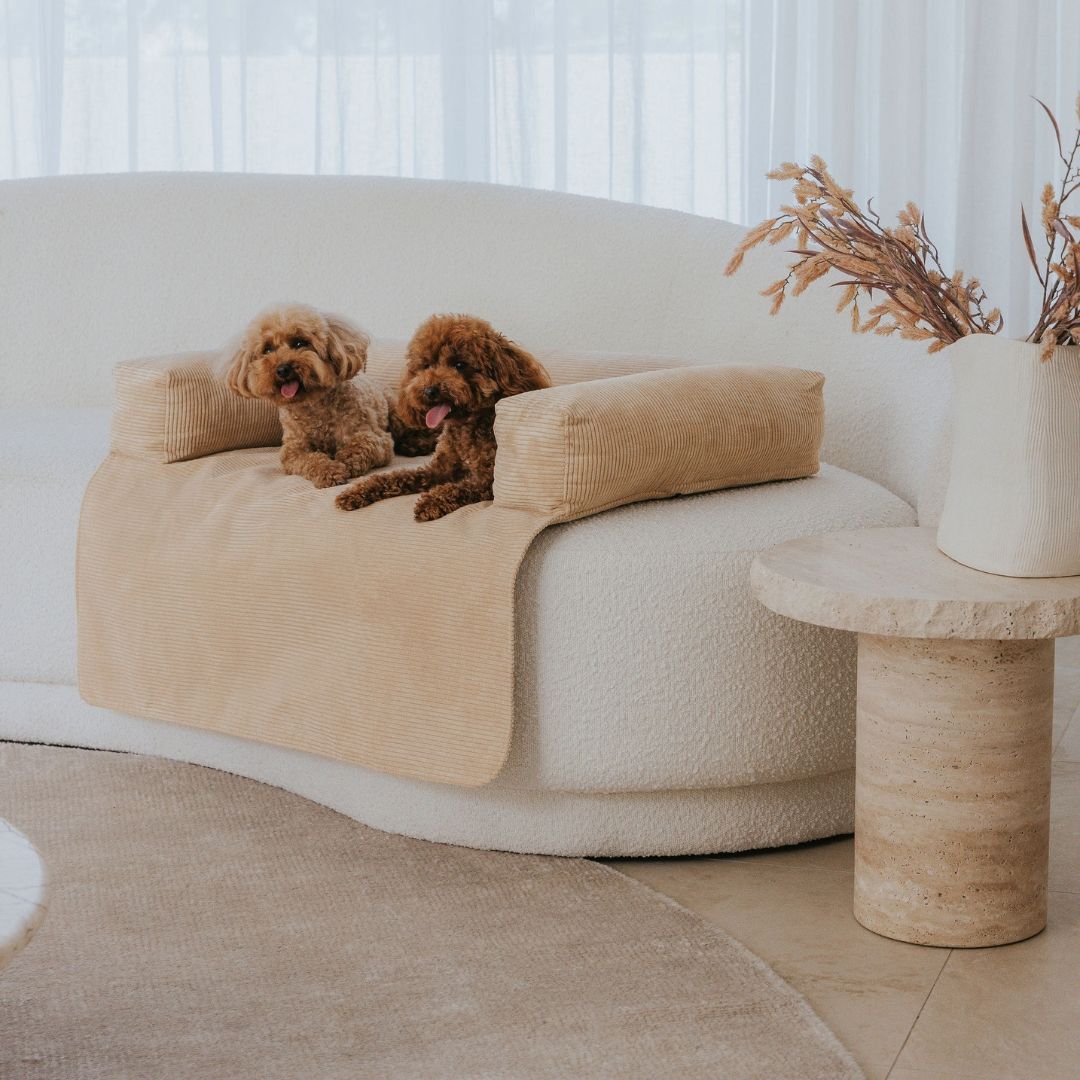 PawCloud Deluxe Dog Couch Bed – Ultra-Comfy & Stylish Sofa for Dogs