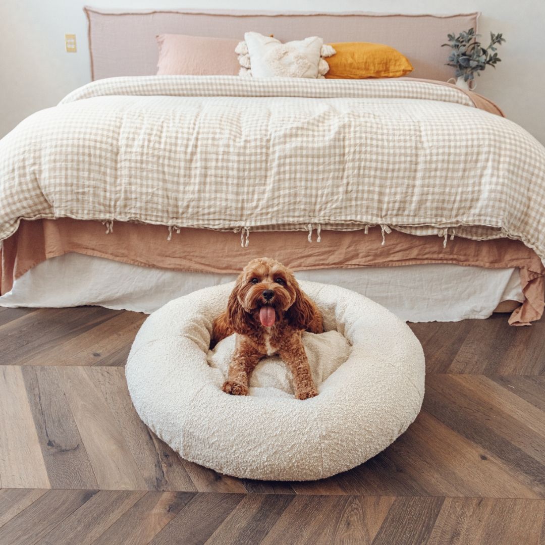 CozyPaws Luxe Bouclé Dog Bed Cover – Stylish, Washable & Ultra-Soft