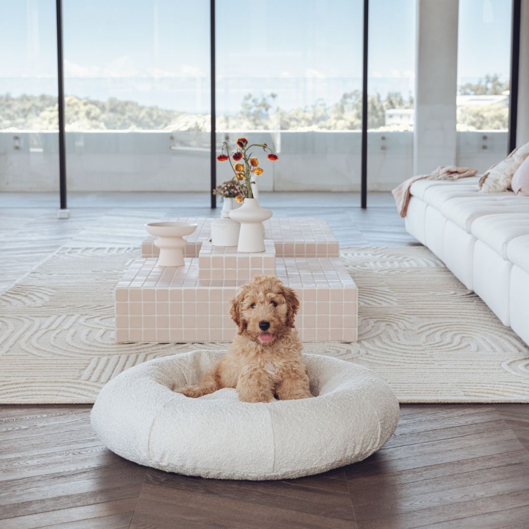 CozyPaws Luxe Bouclé Dog Bed Cover – Stylish, Washable & Ultra-Soft