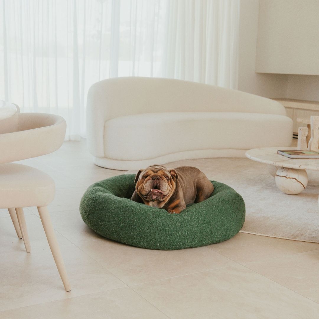 CozyPaws Luxe Bouclé Dog Bed Cover – Stylish, Washable & Ultra-Soft