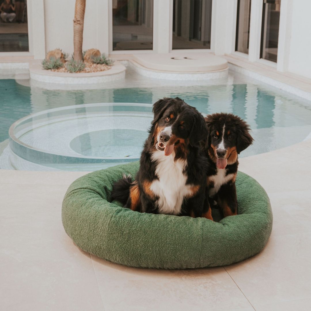 CozyPaws Luxe Bouclé Dog Bed Cover – Stylish, Washable & Ultra-Soft