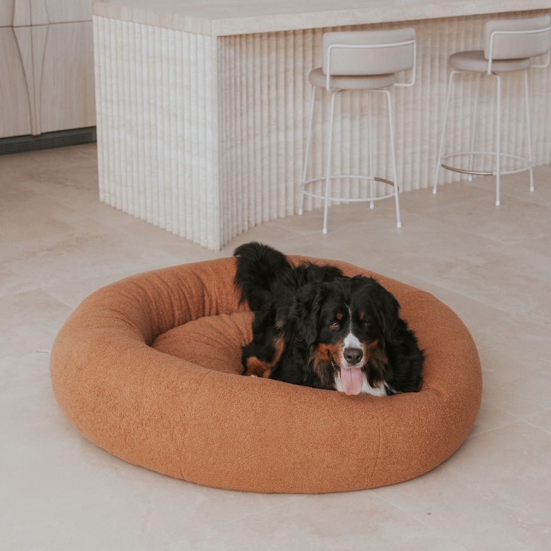 SnugglePup Ultra-Plush Teddy Dog Bed – Cozy, Soft & Supportive
