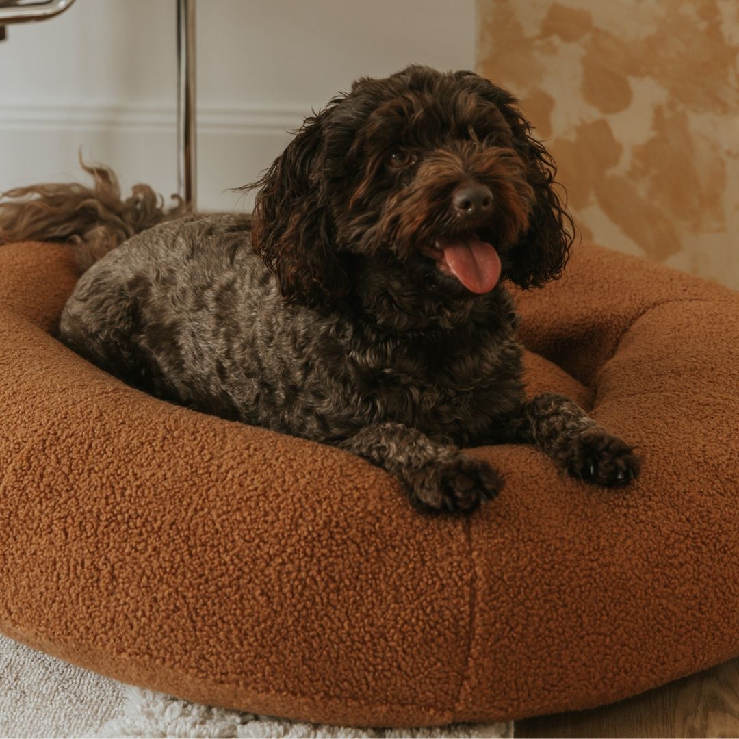 SnugglePup Ultra-Plush Teddy Dog Bed – Cozy, Soft & Supportive