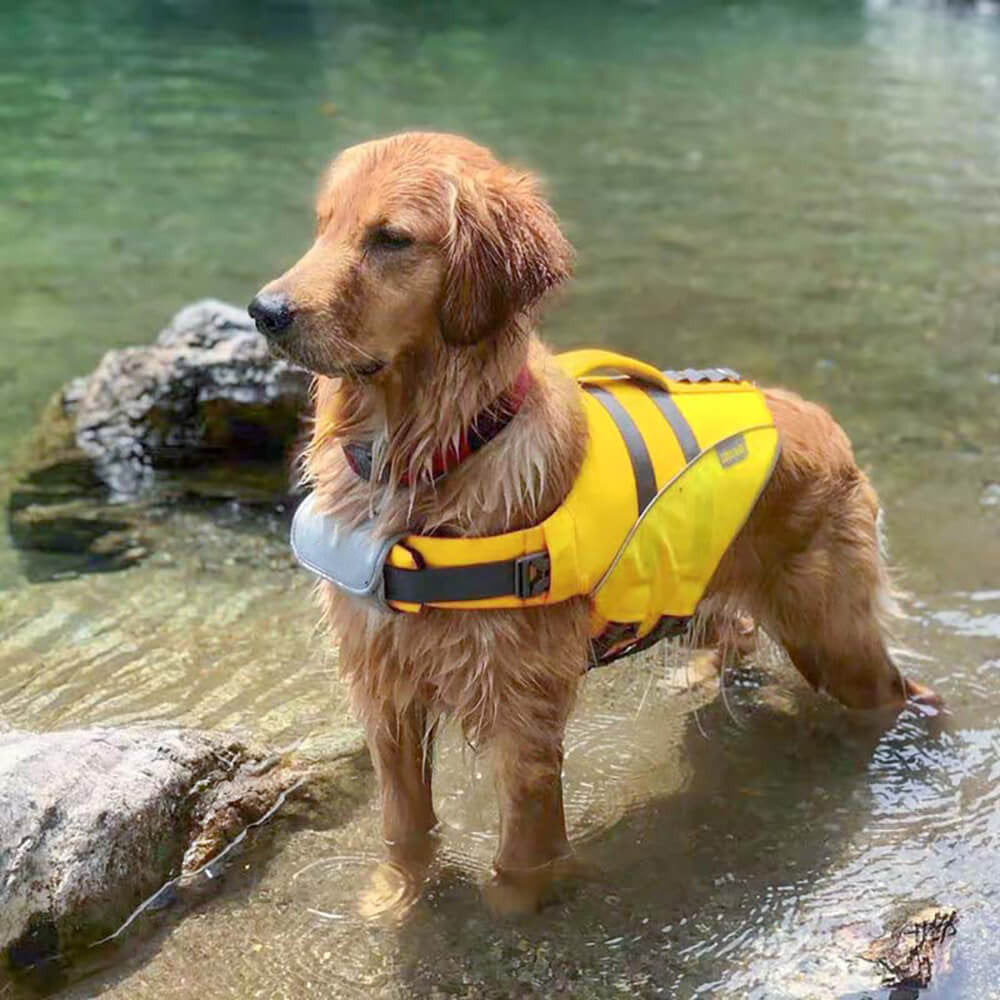 WavePaws Dog Life Jacket – Secure & Stylish Water Safety Vest