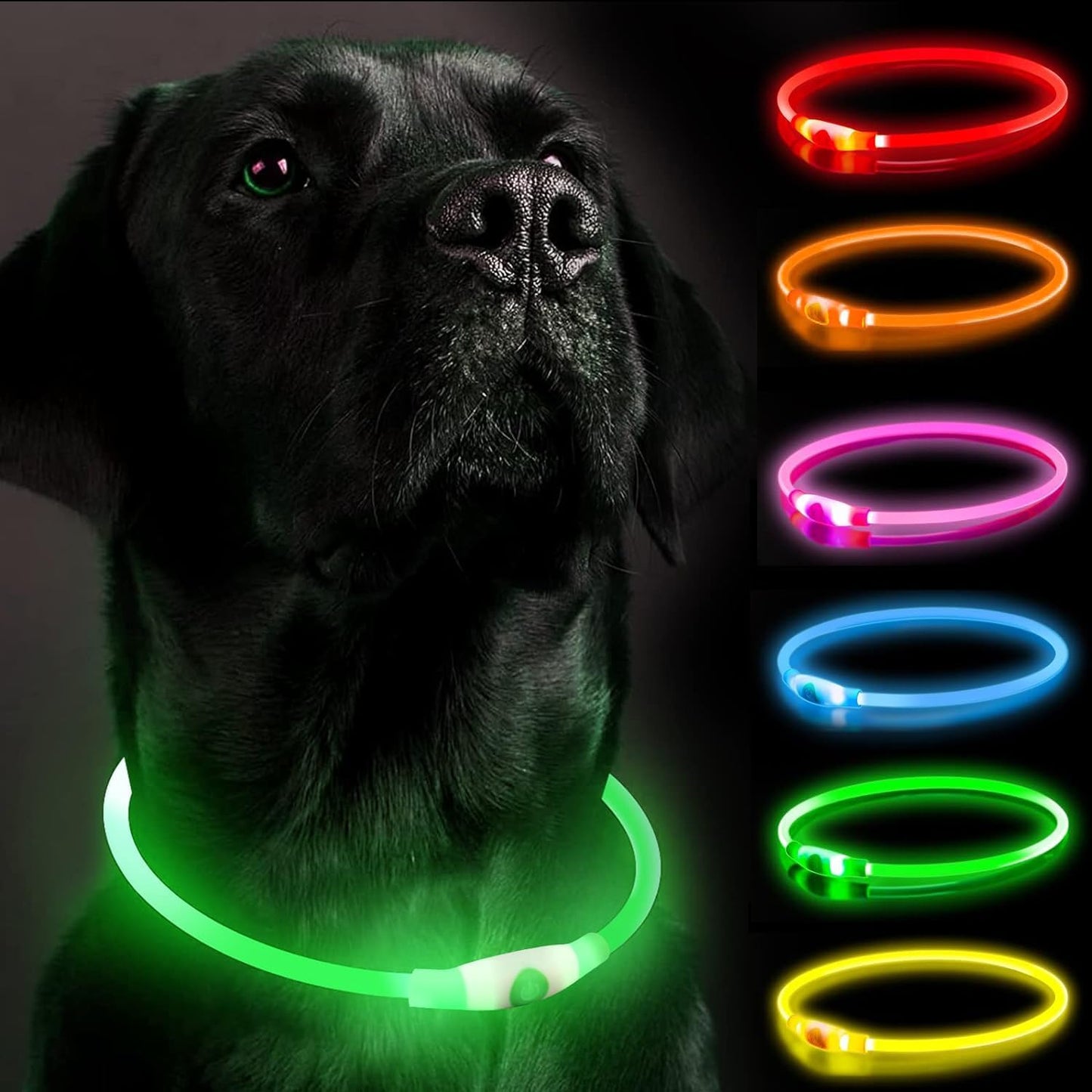 GlowGuard LED Dog Collar