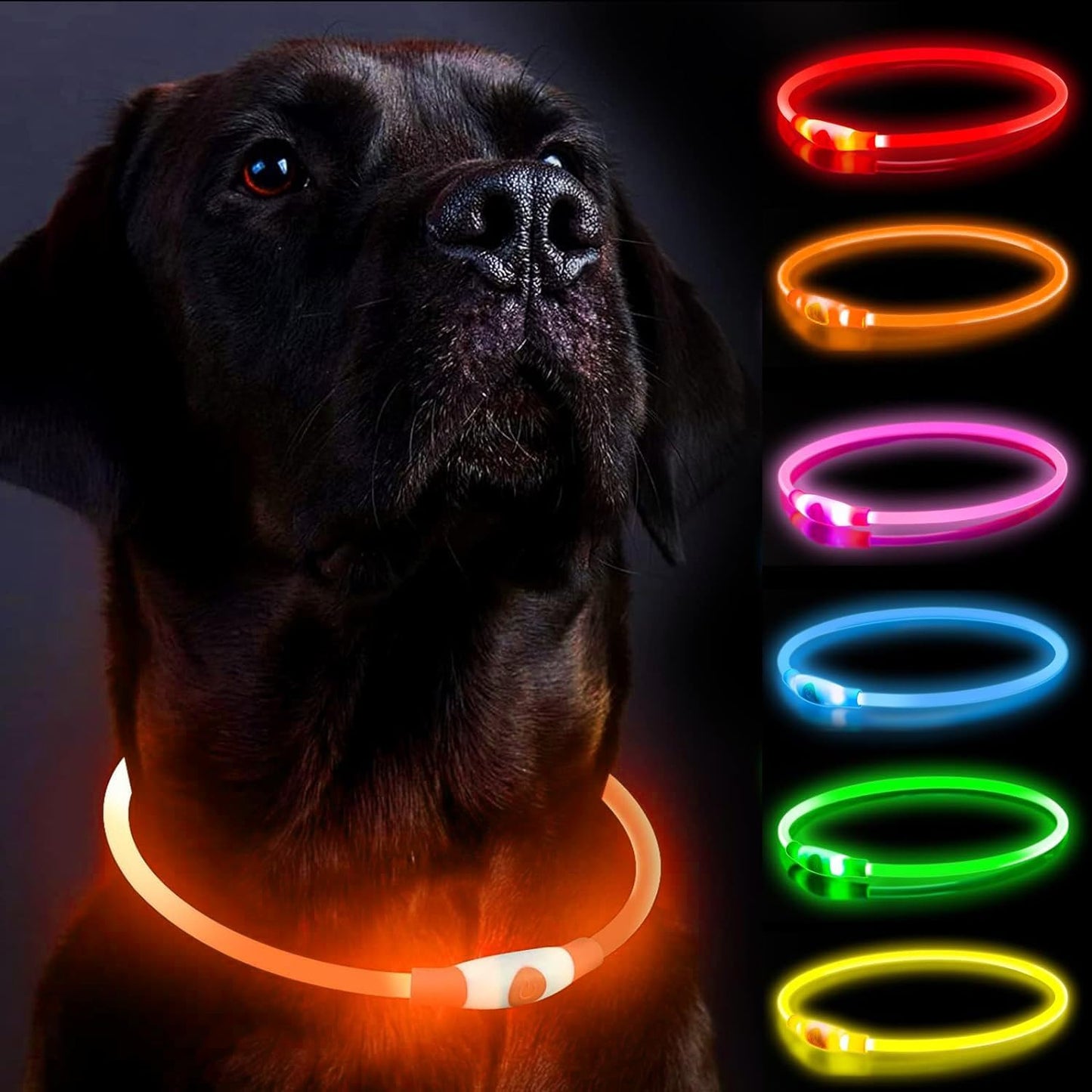 GlowGuard LED Dog Collar