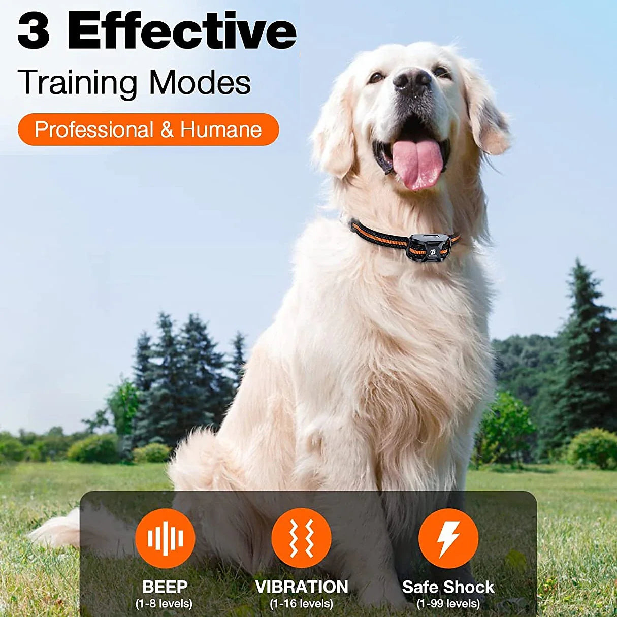 Pawsitive Trainer 1000m Dog Training Collar with Remote