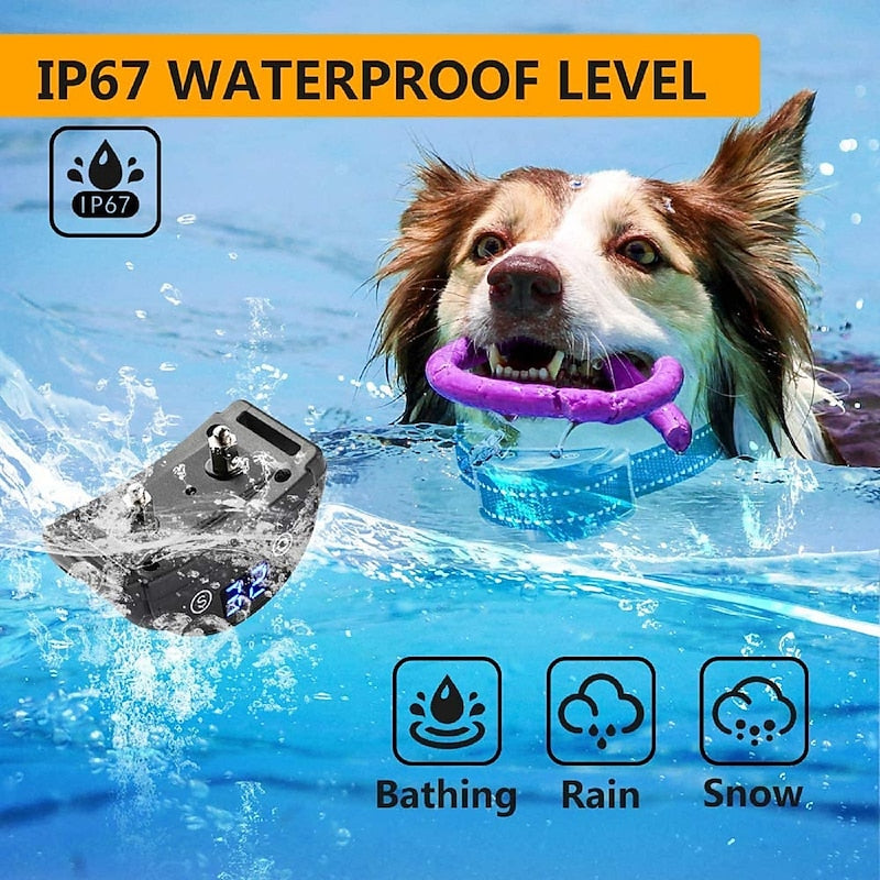 PawQuiet Adjustable Anti-Bark Dog Collar – Safe, Humane & Waterproof