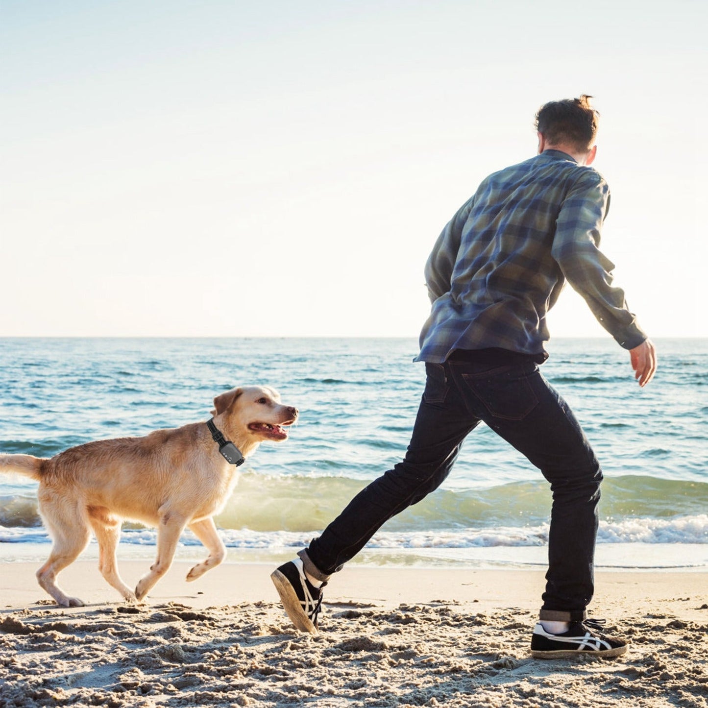 PupGuardian GPS Wireless Dog Fence – Safe & Secure Freedom for Your Dog