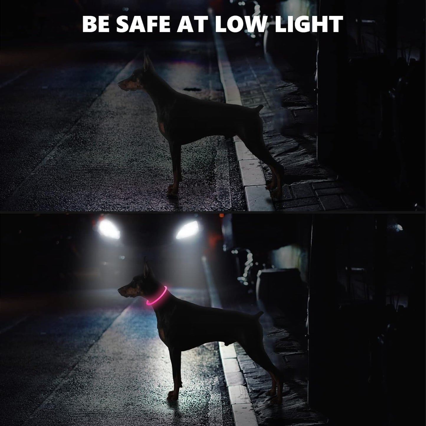 GlowGuard LED Dog Collar