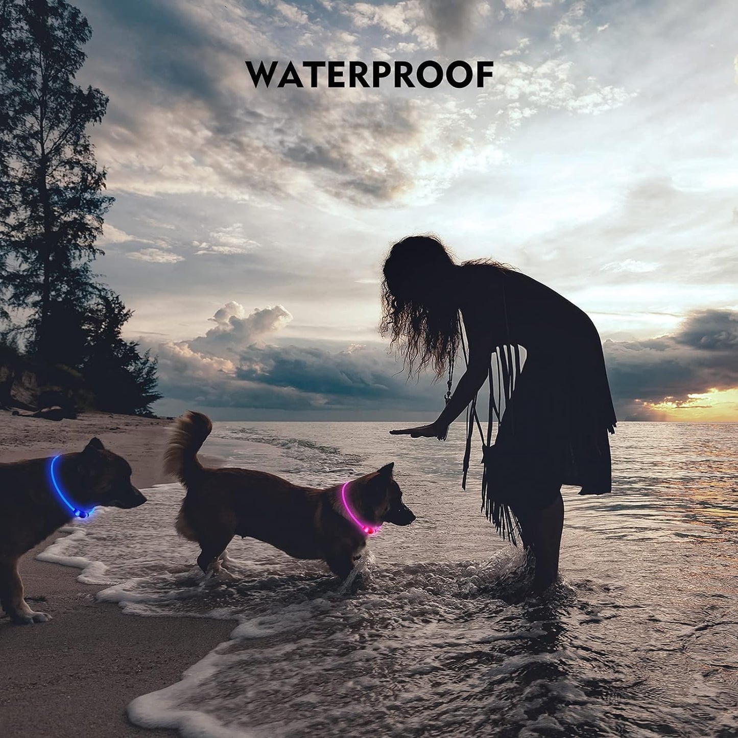 GlowGuard LED Dog Collar
