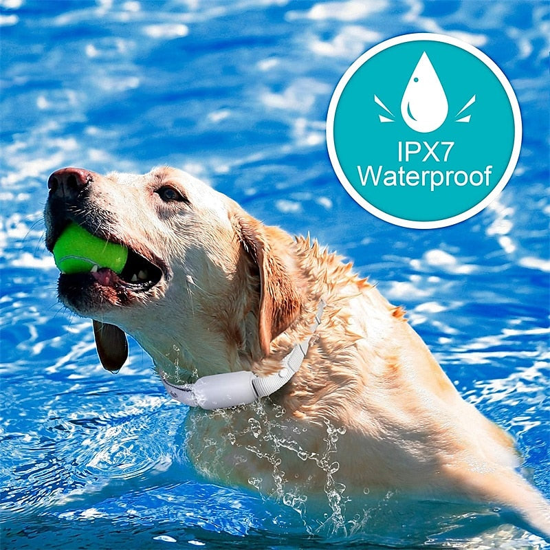 BarkBoss Waterproof & Rechargeable Dog Training Collar with Remote