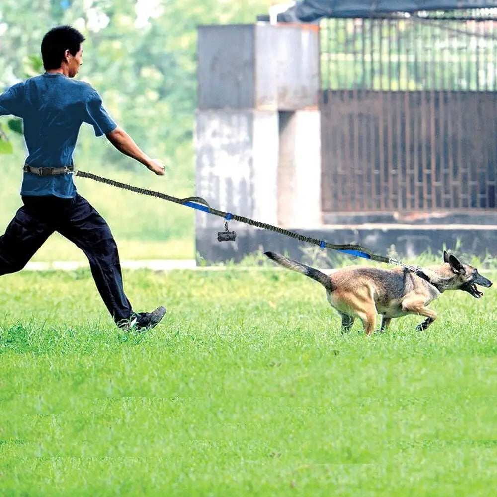 PacePup Hands-Free Dog Running Leash – Shock-Absorbing & Adjustable for Active Owners