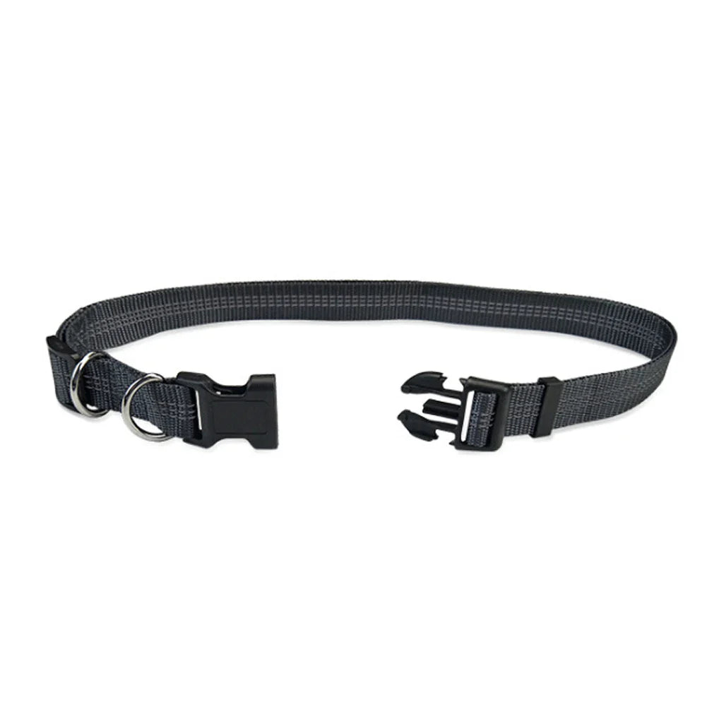 PacePup Hands-Free Dog Running Leash – Shock-Absorbing & Adjustable for Active Owners