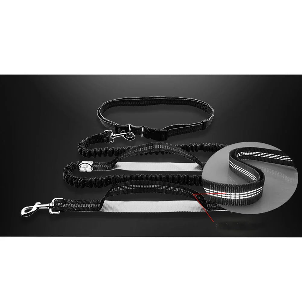 PacePup Hands-Free Dog Running Leash – Shock-Absorbing & Adjustable for Active Owners