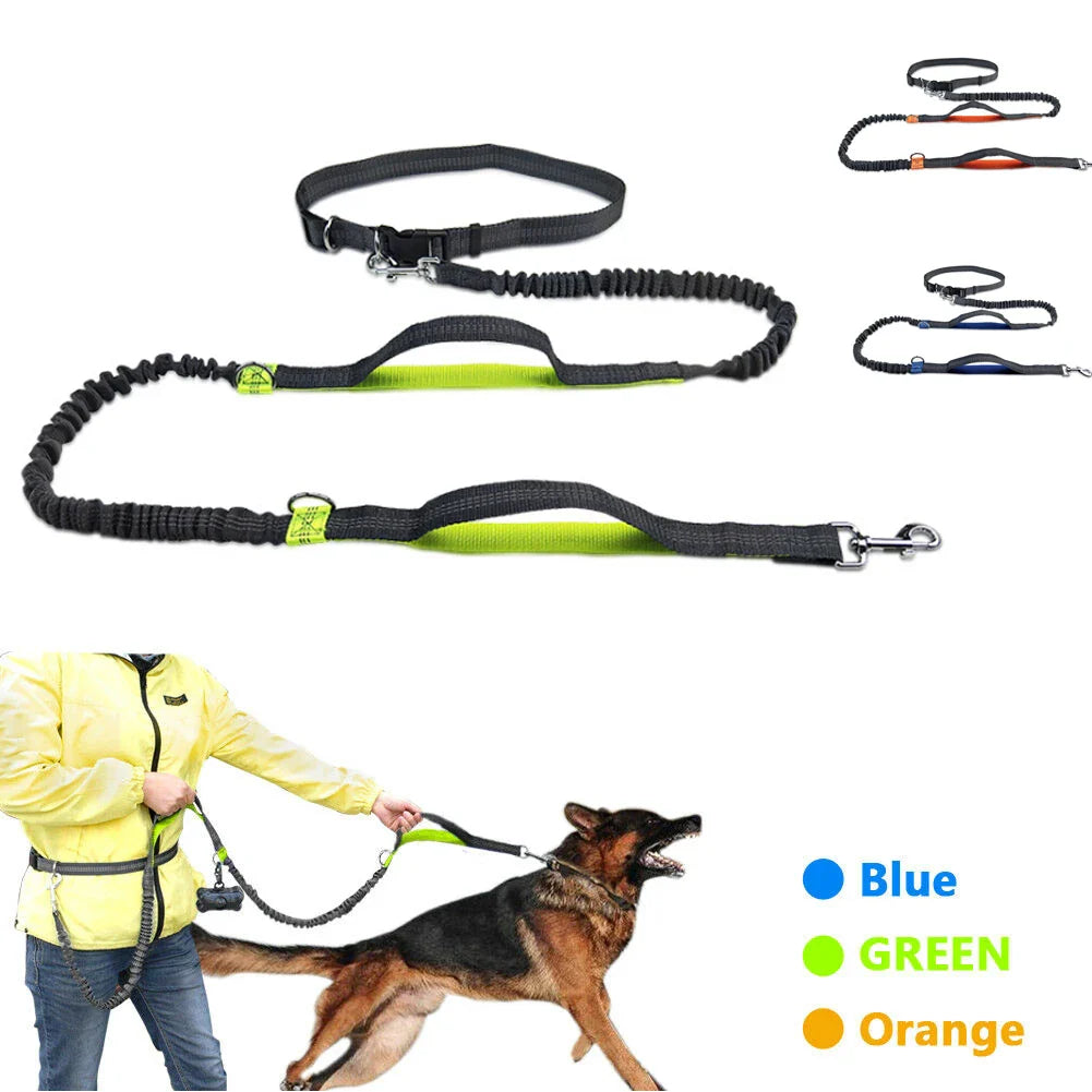 PacePup Hands-Free Dog Running Leash – Shock-Absorbing & Adjustable for Active Owners