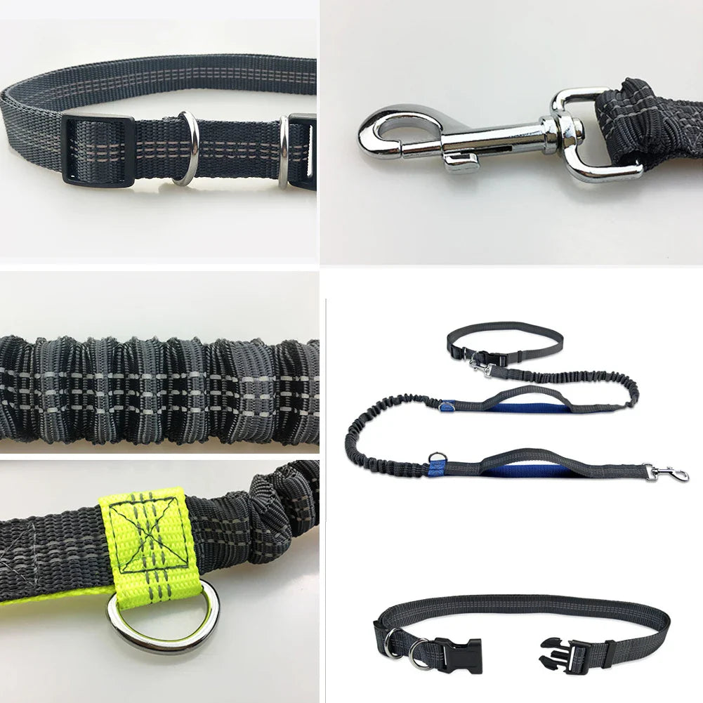 PacePup Hands-Free Dog Running Leash – Shock-Absorbing & Adjustable for Active Owners
