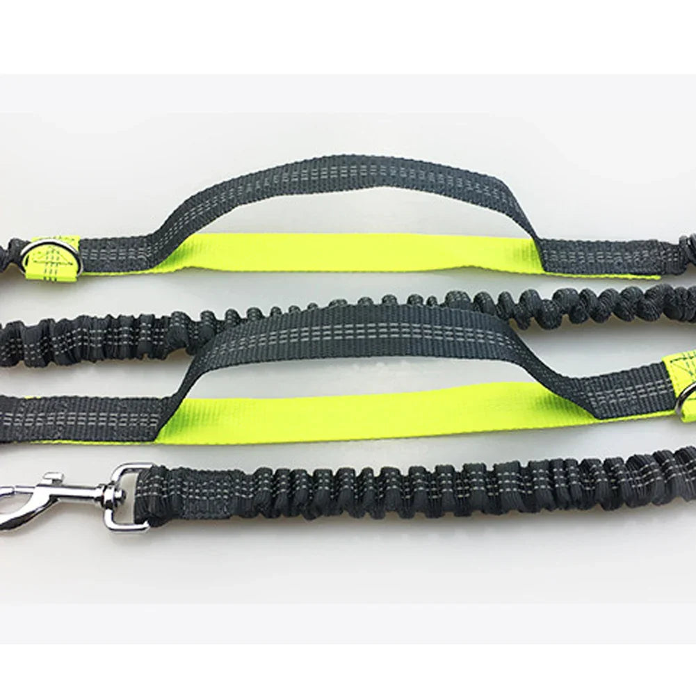 PacePup Hands-Free Dog Running Leash – Shock-Absorbing & Adjustable for Active Owners