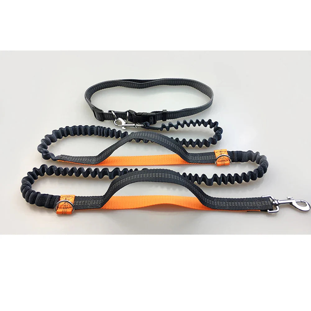 PacePup Hands-Free Dog Running Leash – Shock-Absorbing & Adjustable for Active Owners