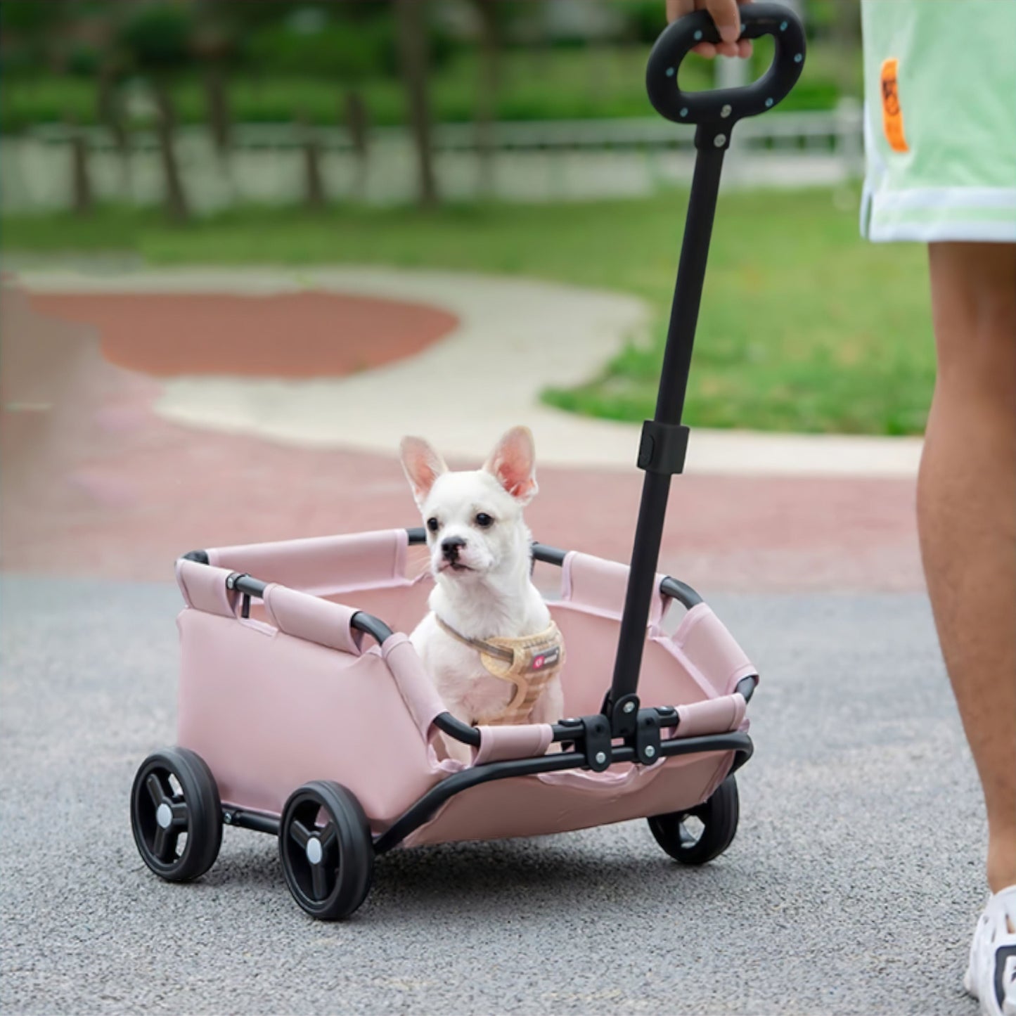 PawGo Pet Stroller – Easy, Comfortable & Secure Travel
