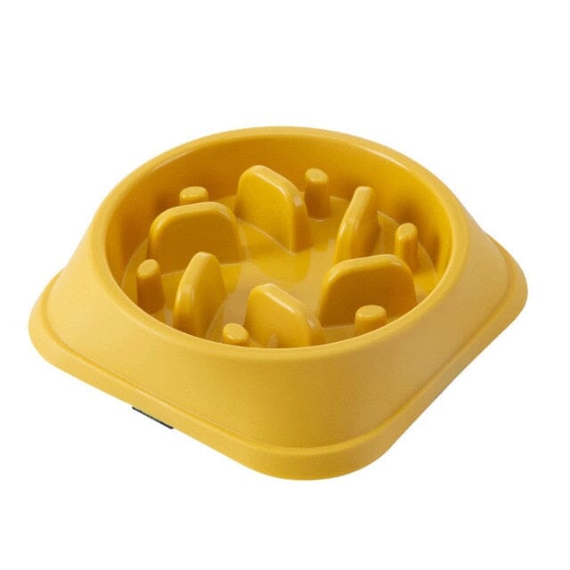 PawGuard Non-Slip Food Feeder – The Perfect Mess-Free Mealtime