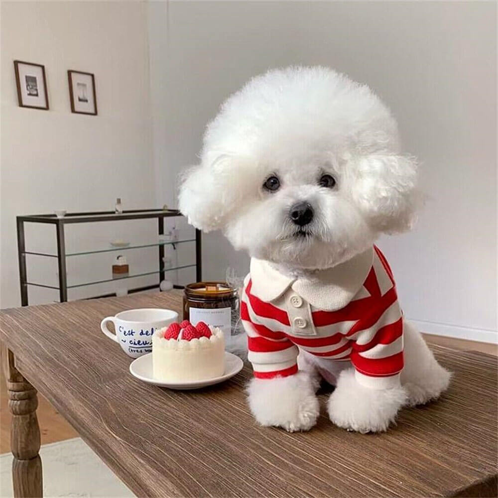 Preppy Pup Striped Polo – Classic & Comfy Dog Shirt