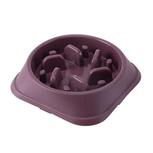 PawGuard Non-Slip Food Feeder – The Perfect Mess-Free Mealtime
