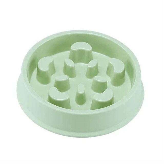 PawGuard Non-Slip Food Feeder – The Perfect Mess-Free Mealtime
