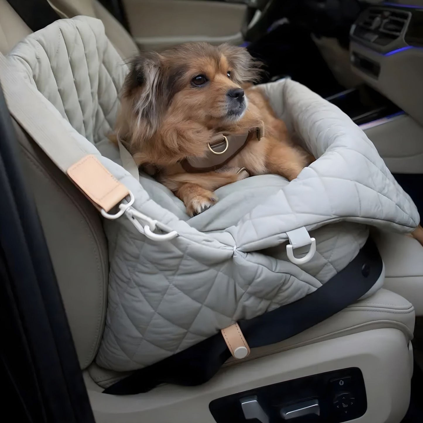Pawfect Travel Carrier – Stylish and Comfortable Pet Tote for On-the-Go Adventures