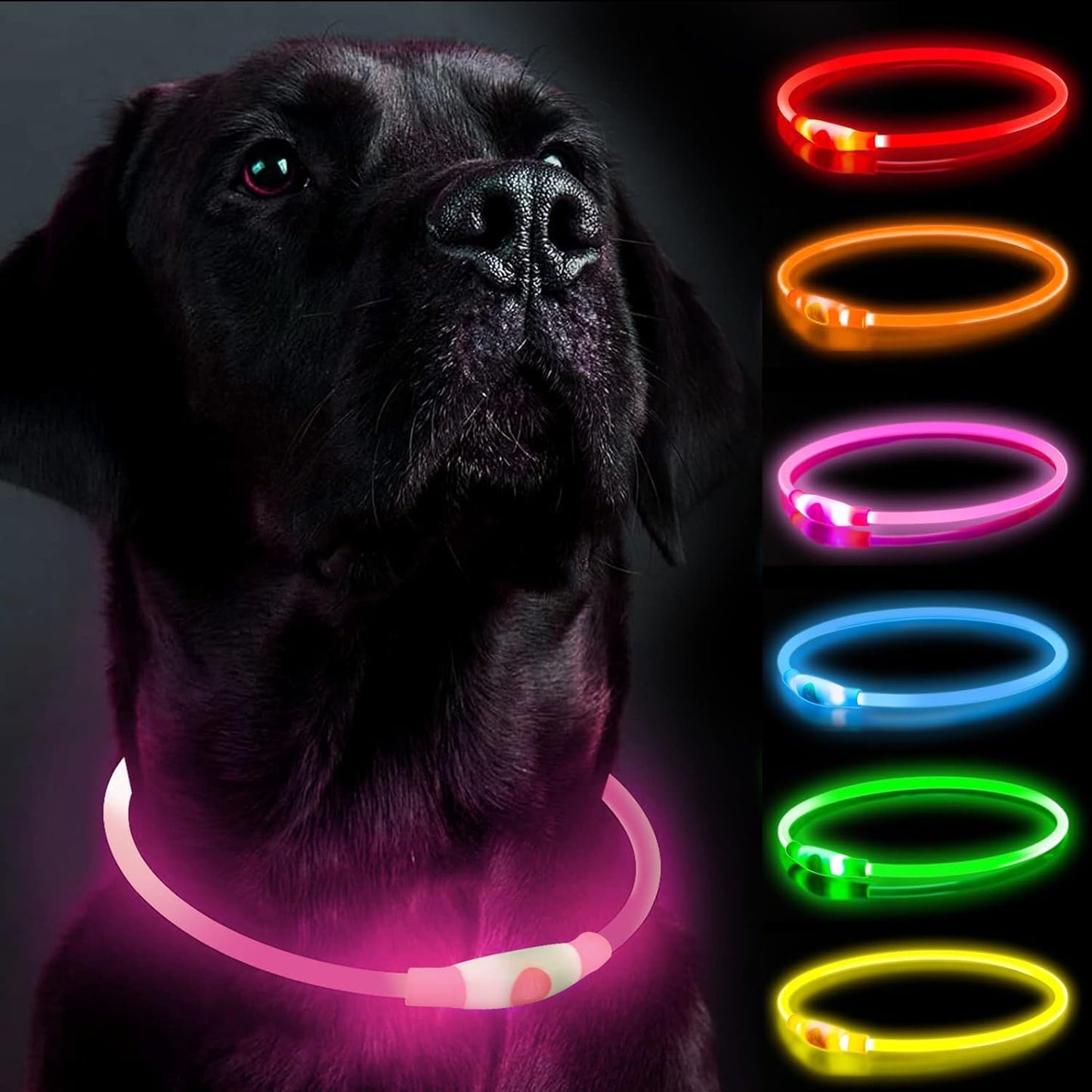 GlowGuard LED Dog Collar