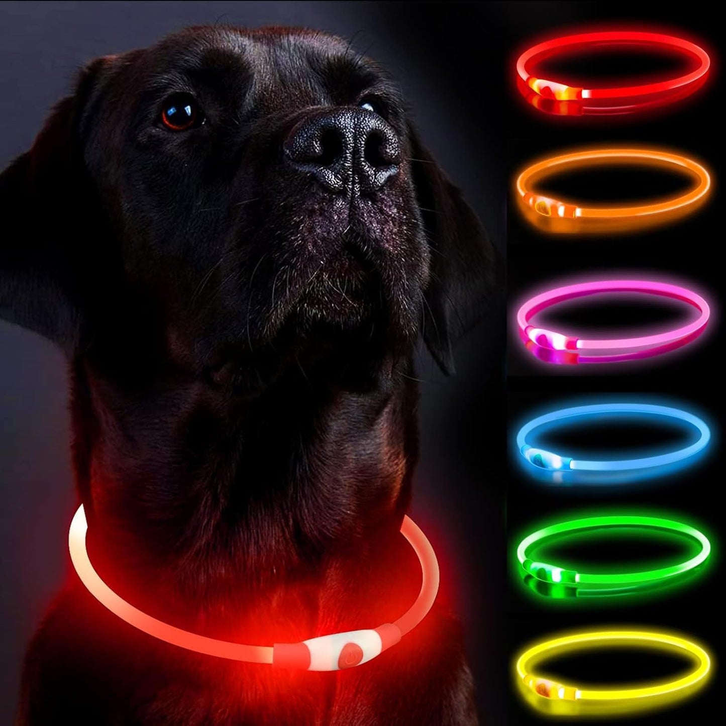 GlowGuard LED Dog Collar