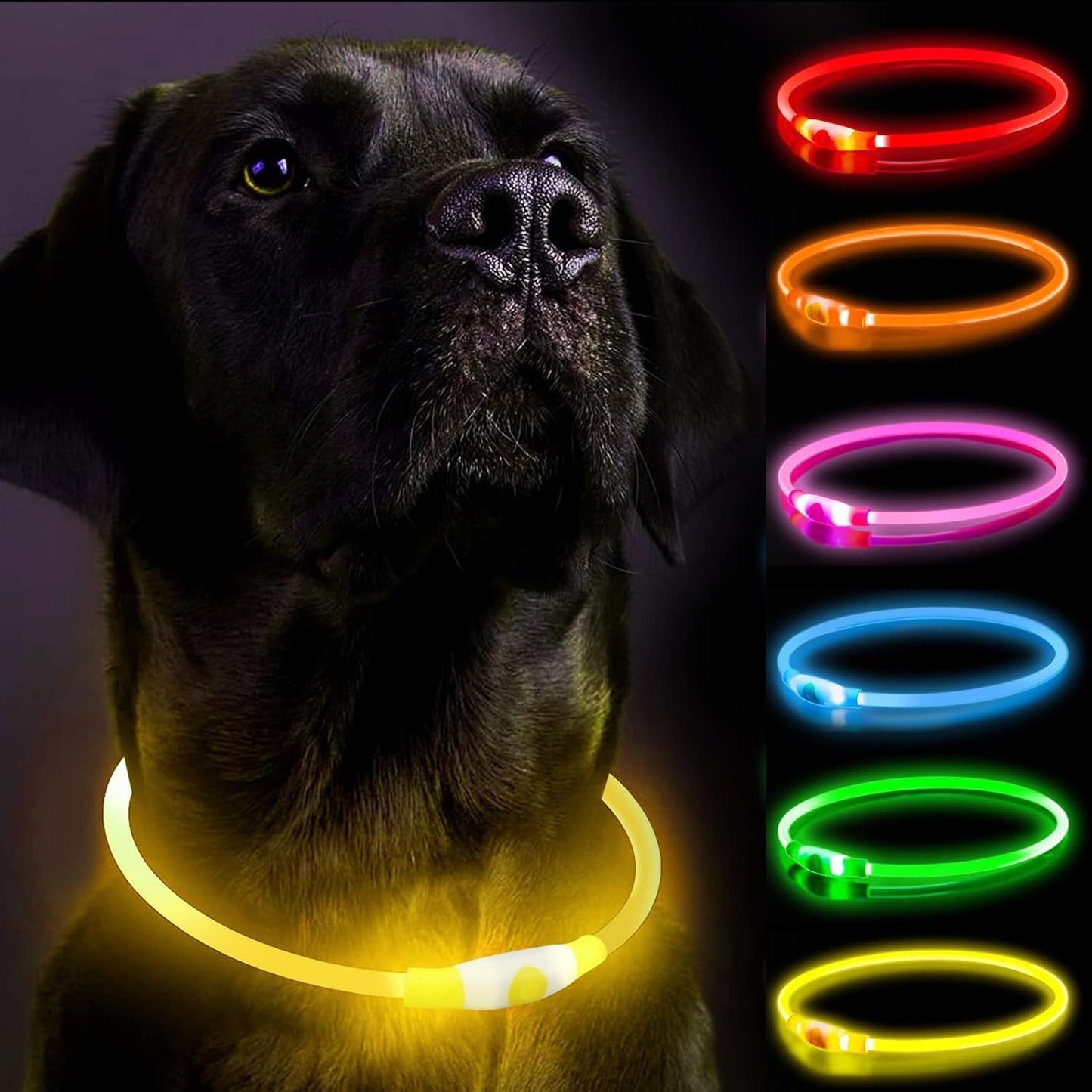 GlowGuard LED Dog Collar