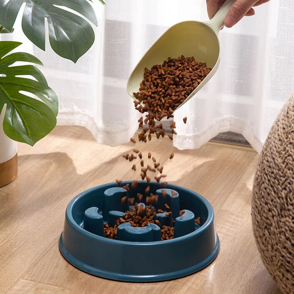 PawGuard™ Non-Slip Food Feeder – The Perfect Mess-Free Mealtime