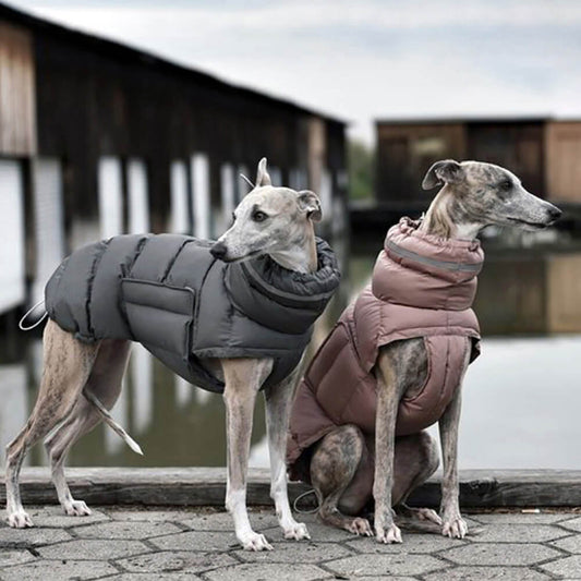 CozyPaws Windproof & Waterproof Dog Vest - Ultimate Winter Warmth & Style