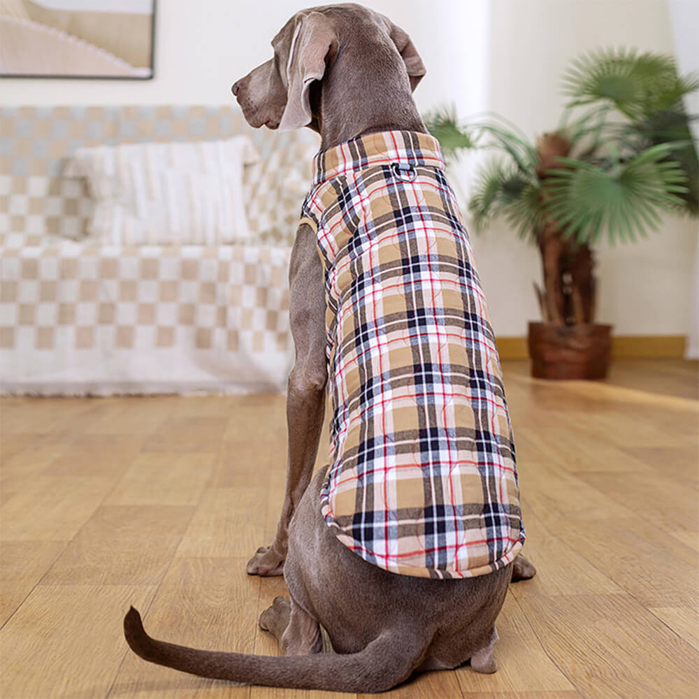 PlaidPaws Stylish Dog Vest – Warm, Padded & Walk-Ready