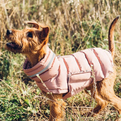 CozyPaws Windproof & Waterproof Dog Vest - Ultimate Winter Warmth & Style