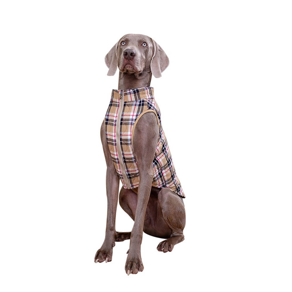 PlaidPaws Stylish Dog Vest – Warm, Padded & Walk-Ready