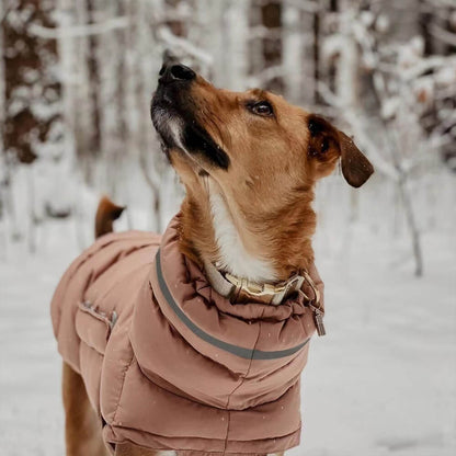 CozyPaws Windproof & Waterproof Dog Vest - Ultimate Winter Warmth & Style